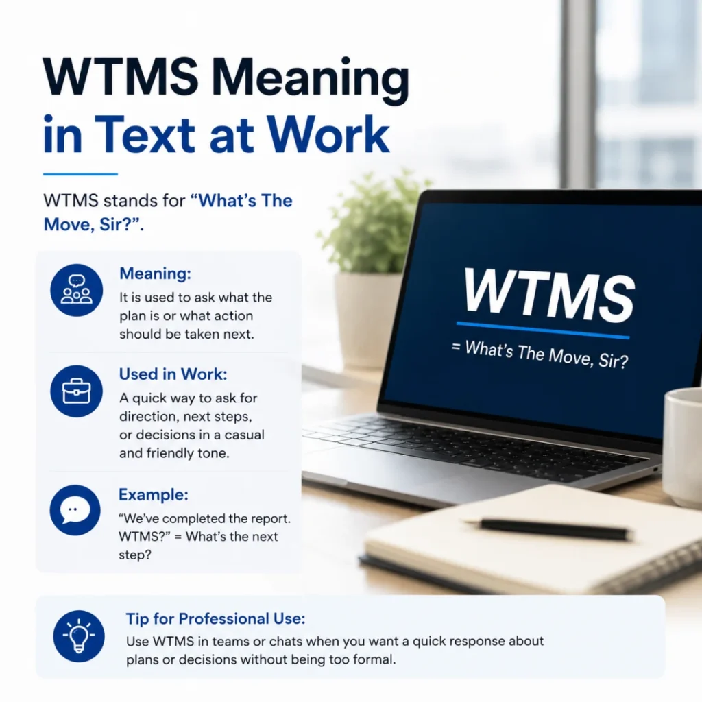 Professional Use: Can You Say wtms meaning in text at Work?