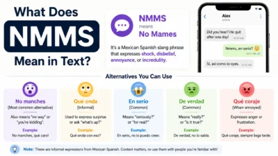 nmms meaning in text