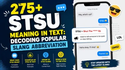 STSU Meaning in Text